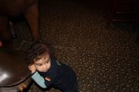 IMG_8091 (Large)